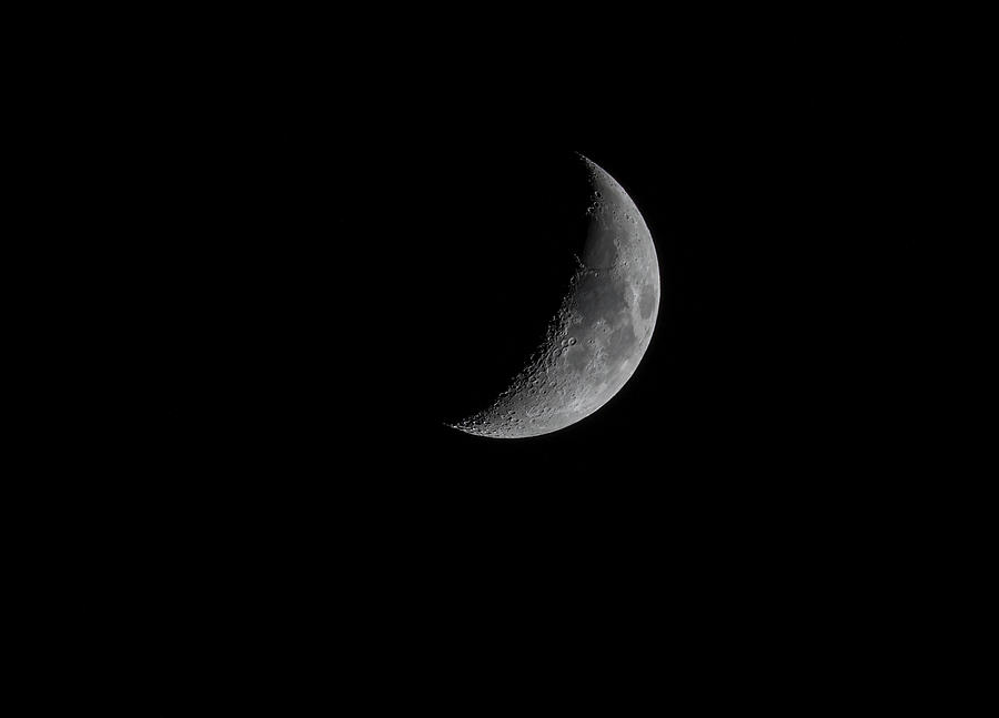 Quarter Moon 2016 Photograph by Thomas Young