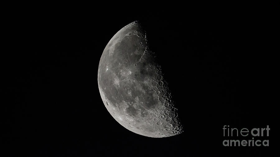 Quarter Moon  Photograph by Michael Ver Sprill