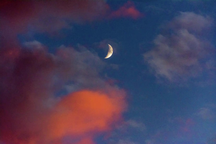 Quarter Moon Sunset Photograph by Steve Harrington