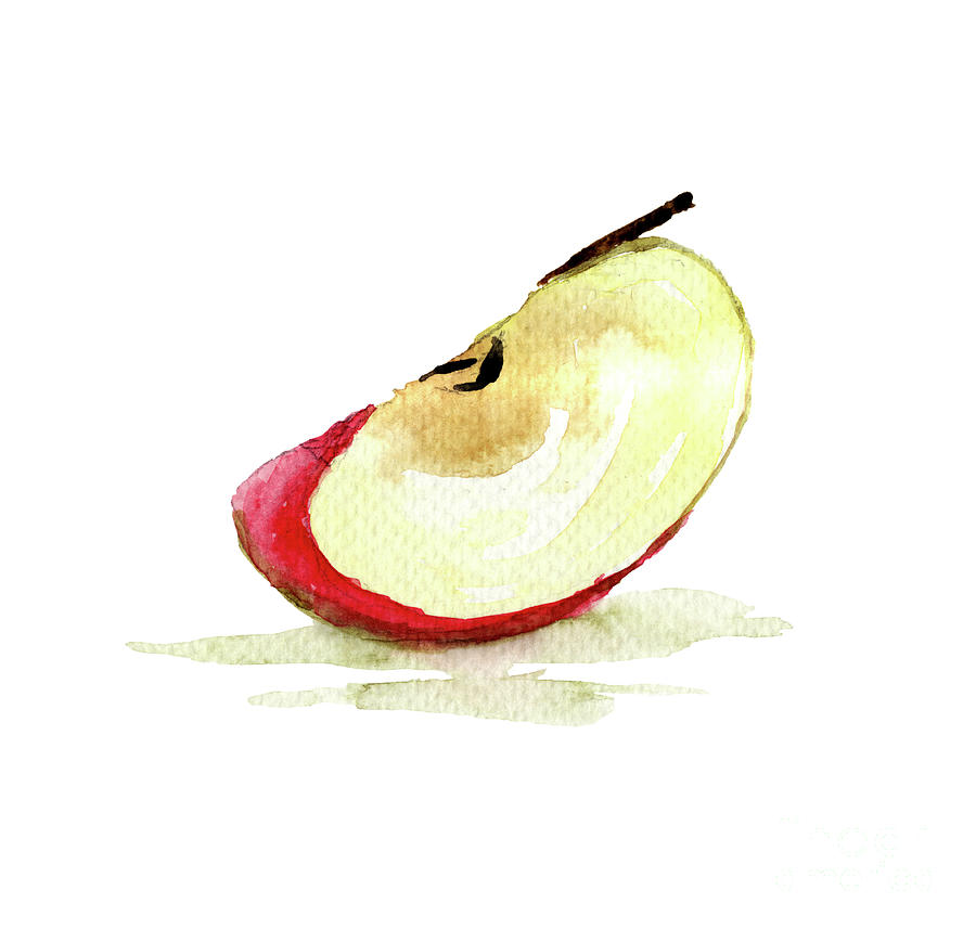 Quarter of apple Painting by Regina Jershova