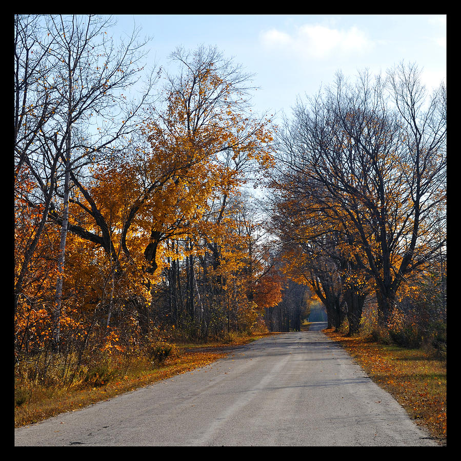 Fall Photograph - Quarterline Road by Tim Nyberg