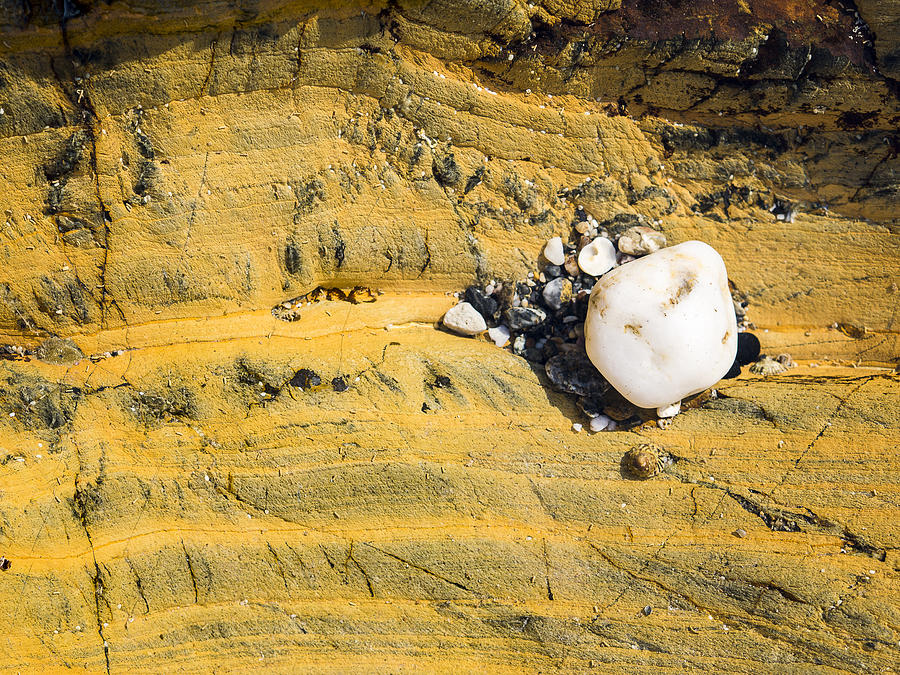Quartz Cobble on Rock Photograph by Steven Ralser