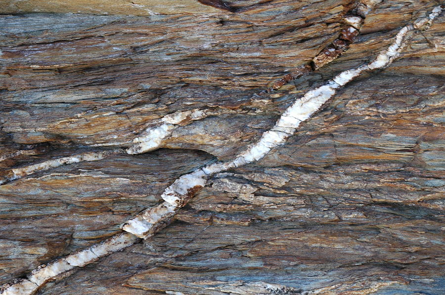 Quartz Vein Photograph by Dave Fischer