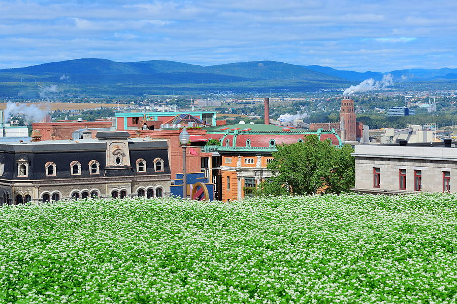 Quebec City View Photograph