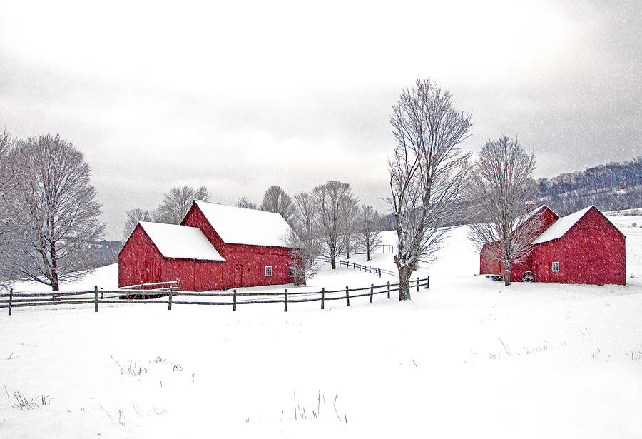 Quechee Barns In Winter Photograph By Gordon Ripley