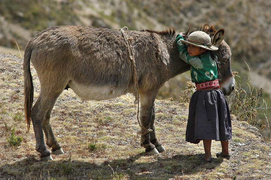 Donkey Photograph - Quechua girl hugging his donkey. Republic of Bolivia. by Eric Bauer