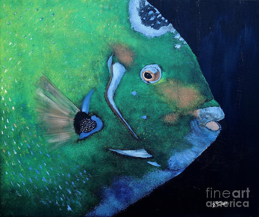 Queen Angelfish Painting by Barbara Teller