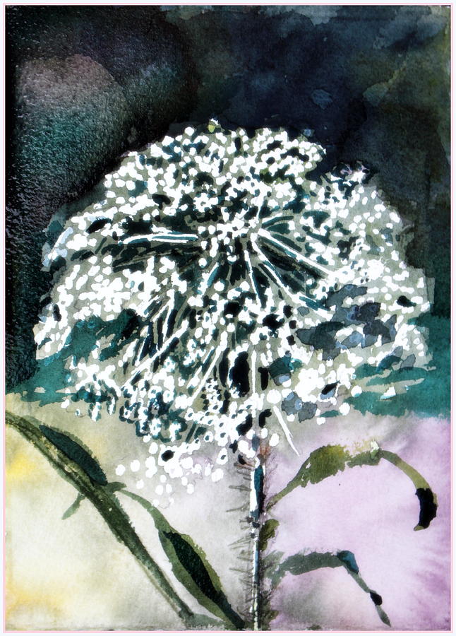 Queen Ann Lace Painting by Mindy Newman
