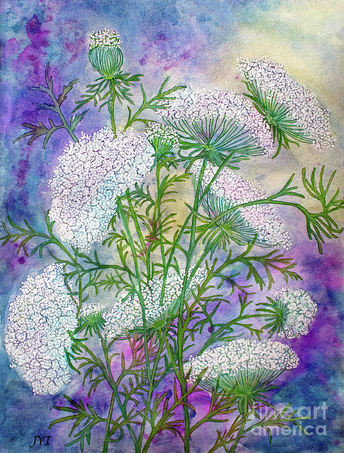 Queen Anne Lace  Painting by Janet Immordino