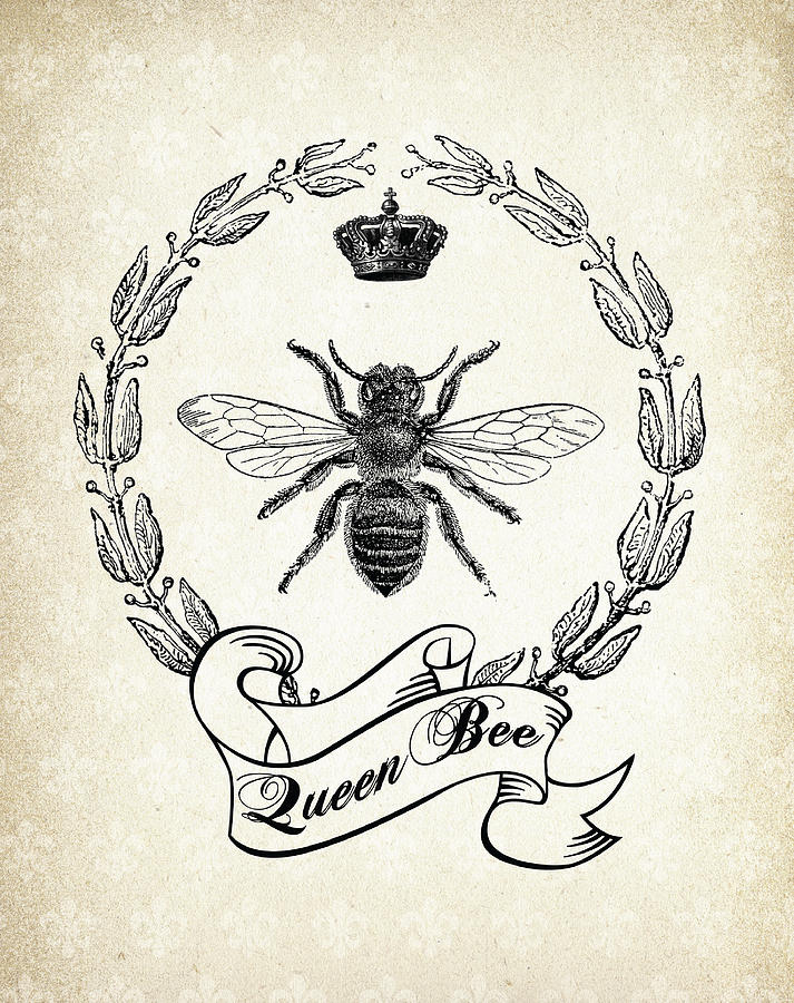 Queen Bee Digital Art by Jaime Friedman