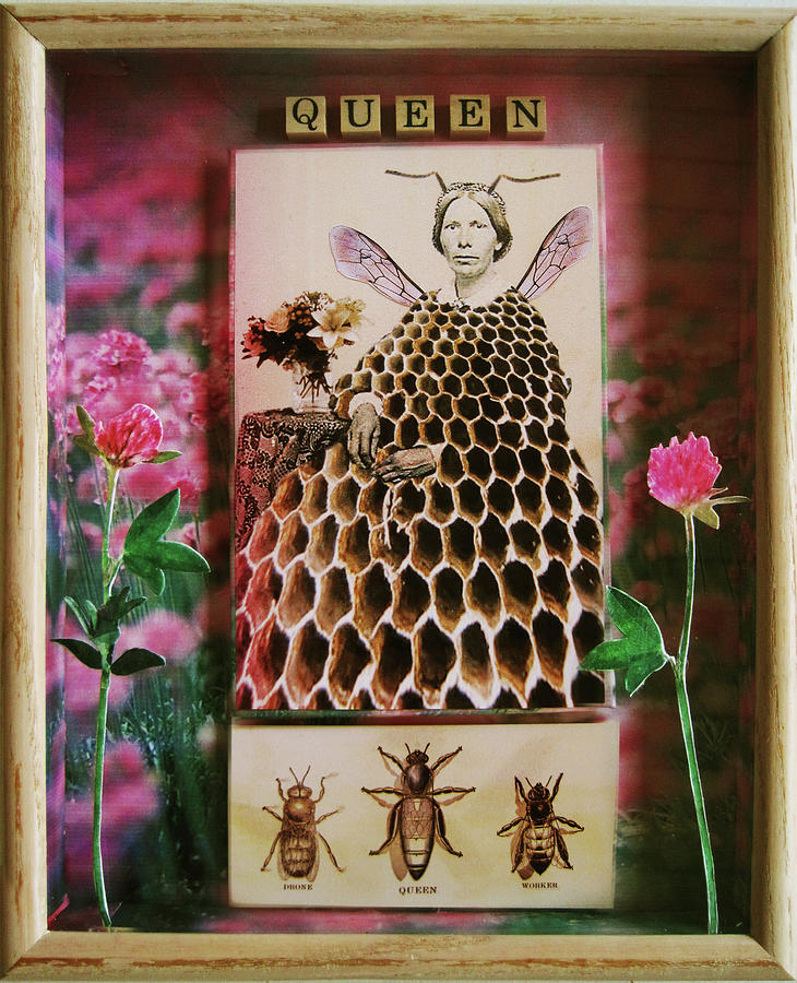 Queen Bee - mixed media assemblage collage Mixed Media by Linda Apple