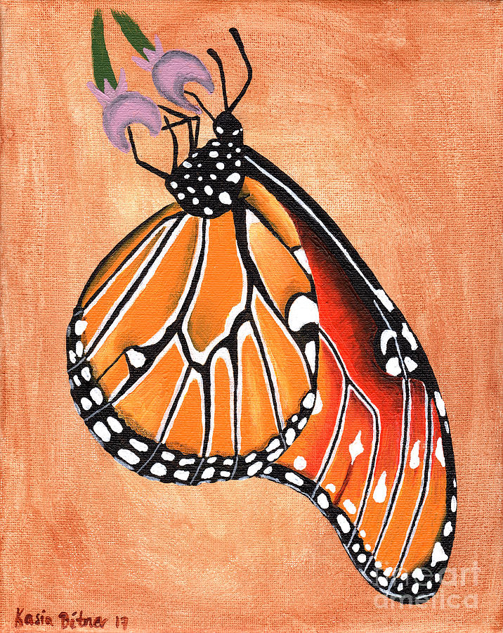 Queen Butterfly Painting by Kasia Bitner
