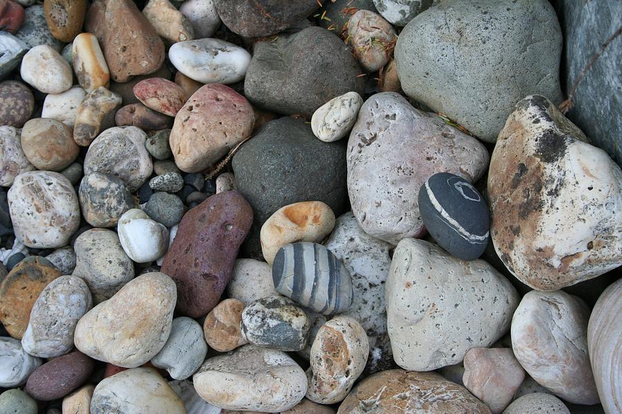 Queen Charlotte Island Stones Photograph by Sherry Leigh Williams