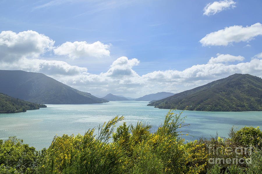 New Zealand Photograph - Queen Charlotte Sound, New Zealand by Julia Hiebaum New Zealand Photograph - Queen Charlotte Sound, New Zealand by Julia Hiebaum