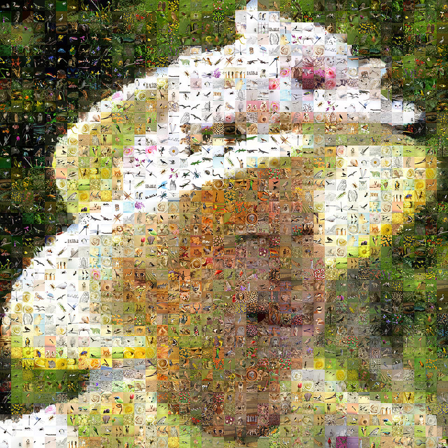 Queen Elizabeth Ii Digital Art - Queen Elizabeth II of the United Kingdom by Gilberto Viciedo