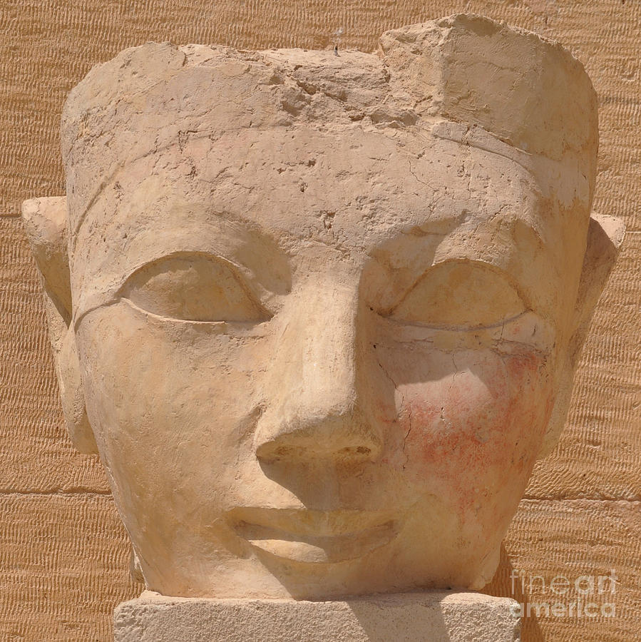 Queen Hatshepsut Photograph by Stevyn Llewellyn