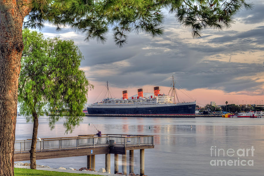 Queen Mary Framed by Tree_2 Photograph by David Zanzinger