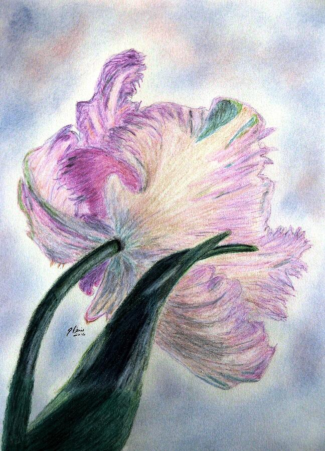 Queen Of Spring Drawing by Angela Davies