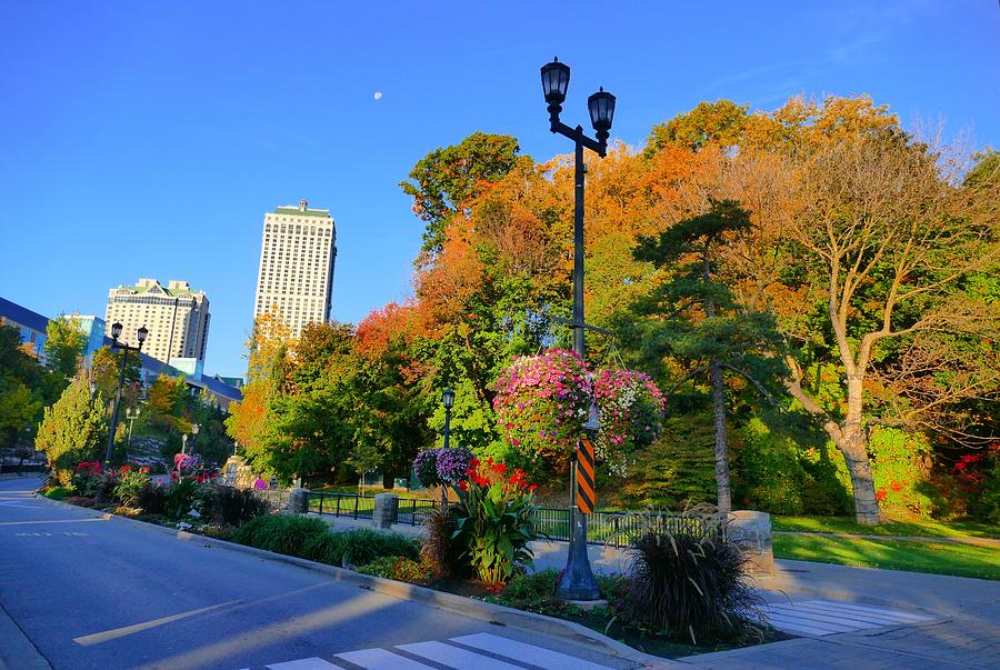 Queen Victoria Park Photograph by Debbie Storie - Fine Art America