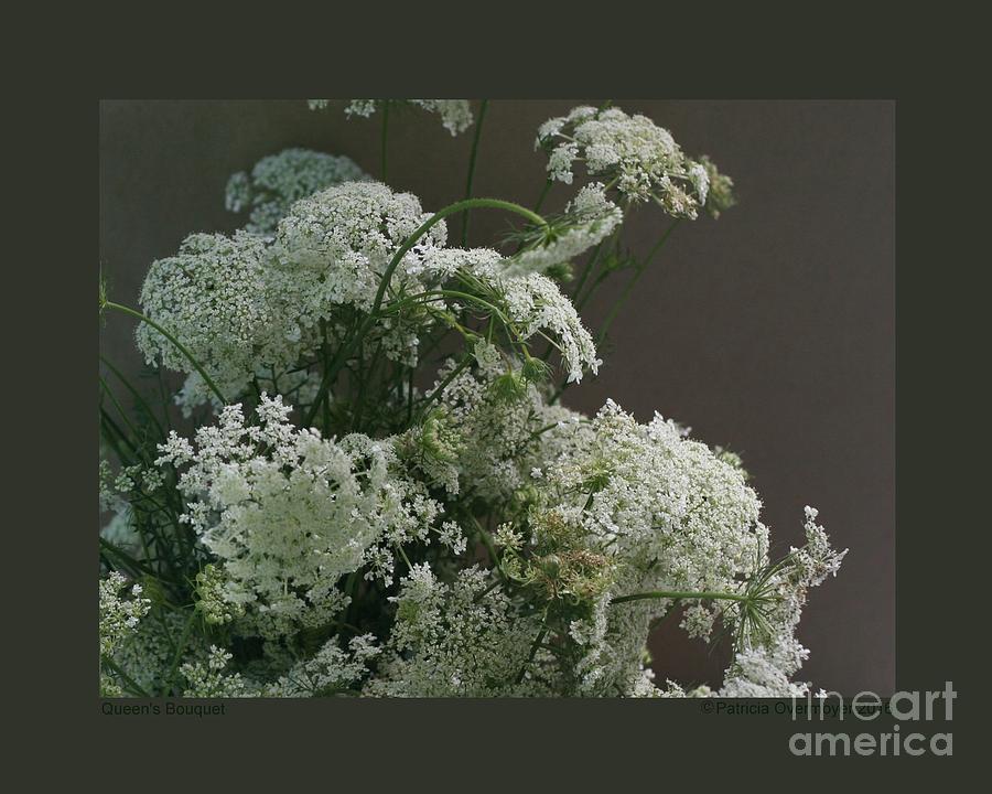 Flower Photograph - Queens Bouquet by Patricia Overmoyer