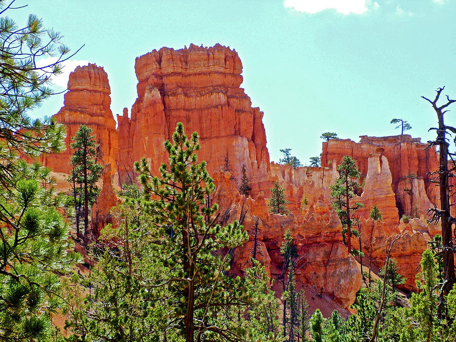 Queens Garden Trail in Bryce Canyon National Park, Utah Photograph by Ruth Hager