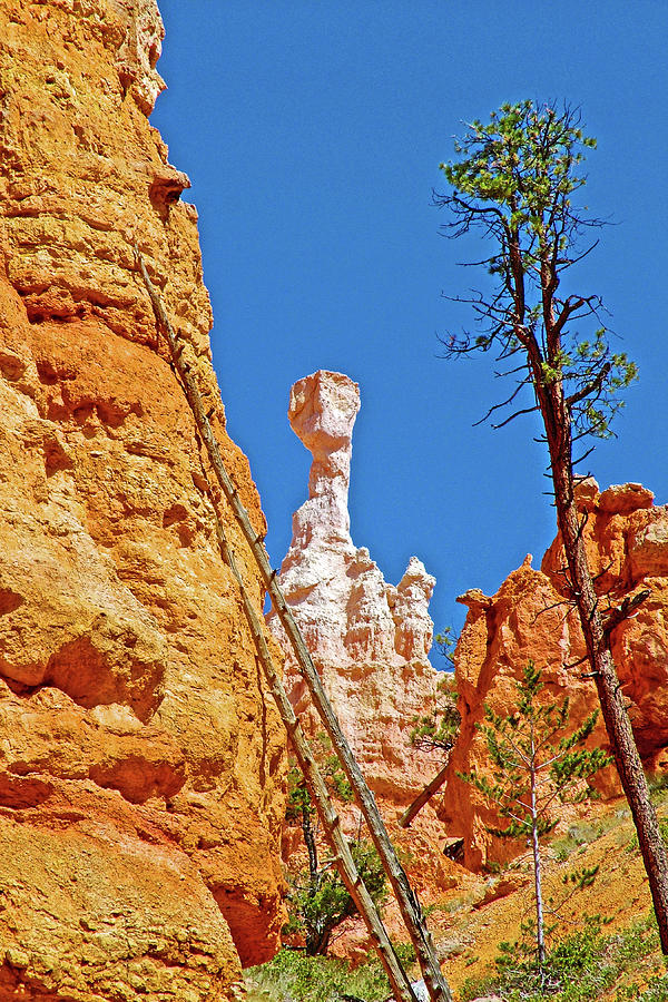 Queens Garden Trail in Bryce National Park, Utah  Photograph by Ruth Hager