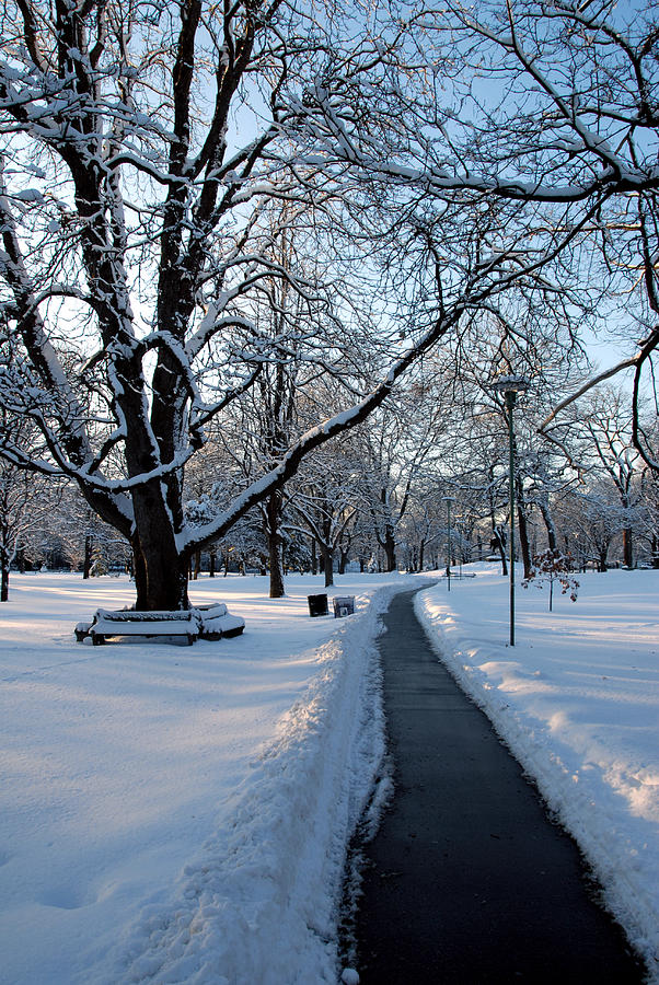 Queens Park Pathway Photograph by Rick Shea