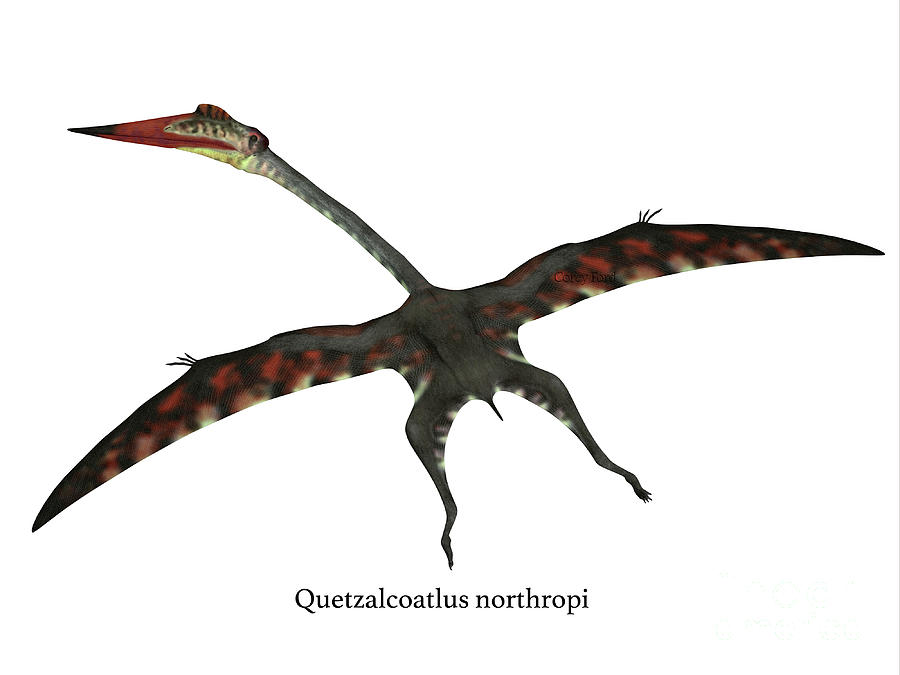 Quetzalcoatlus Flying Reptile with Font Digital Art by Corey Ford