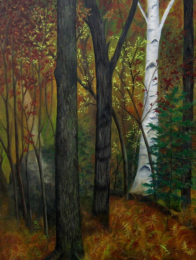 Quiet Autumn Woods Painting by FT McKinstry