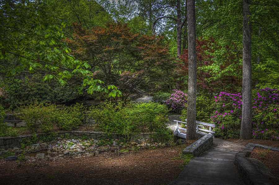 Garden Photograph - Quiet Beauty by Marvin Spates