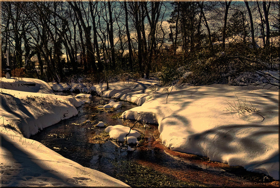 Quiet brook on a snowcovered landscape Photograph by Mikki Cucuzzo