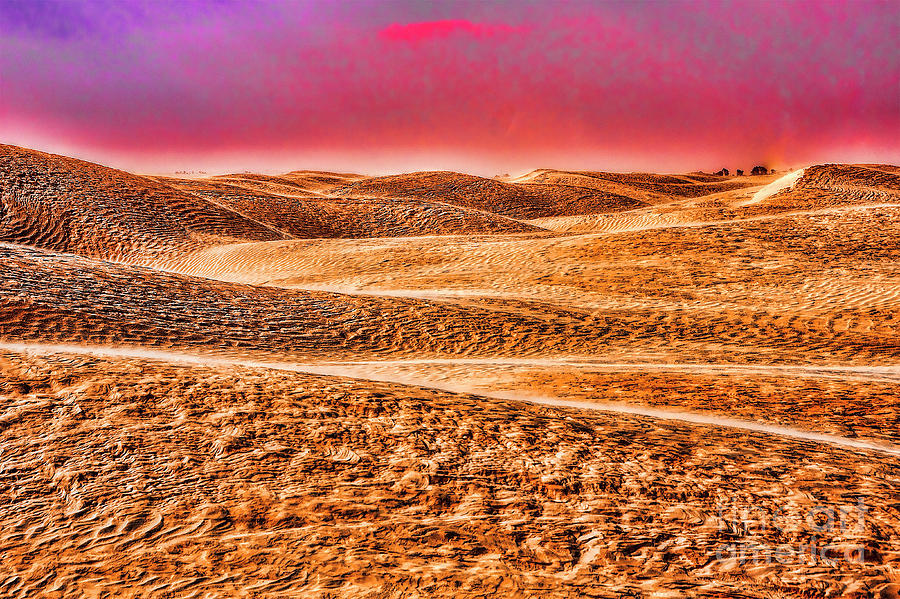 Quiet Desert Photograph by Rick Bragan