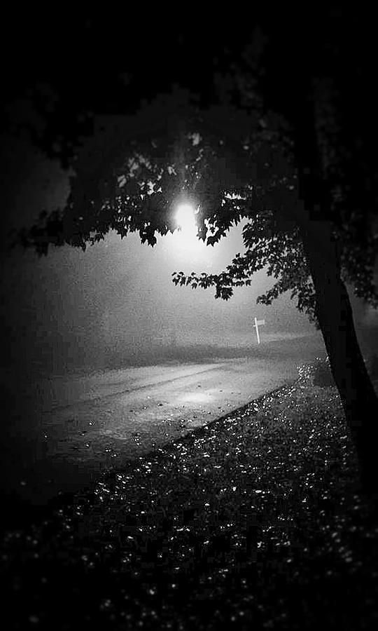 Quiet Fall Walk All Alone Photograph by John Glass