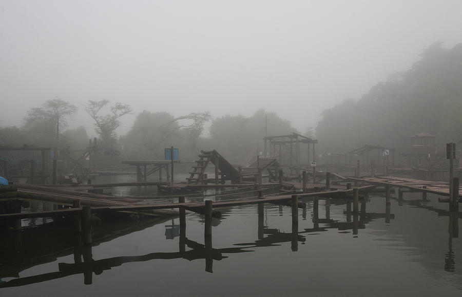 Quiet Fog Photograph by Masami Iida