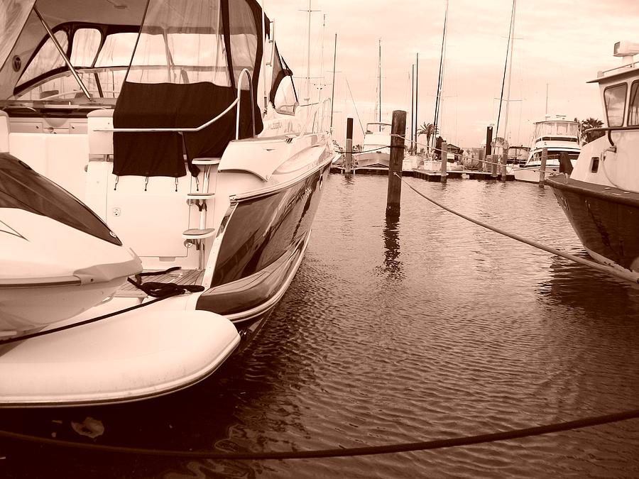 Boat Photograph - Quiet Marina by Laurette Escobar