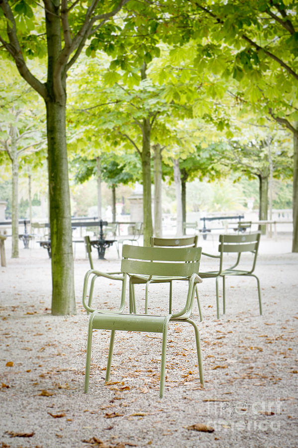 Quiet moment at Jardin Luxembourg Photograph by Ivy Ho