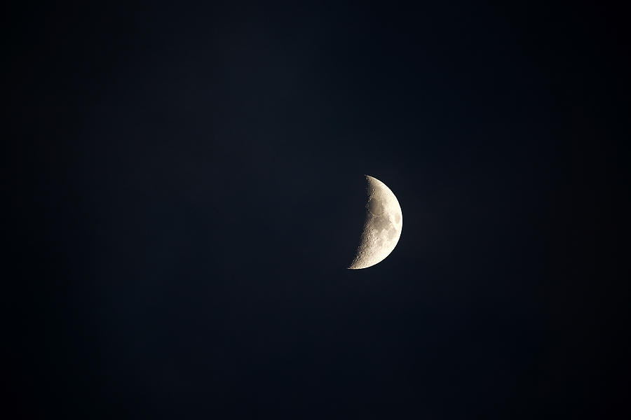 Quiet Moon Photograph by Lara Morrison