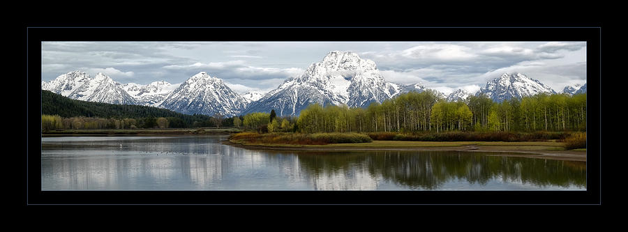 Quiet morning at Oxbow Bend Photograph by Jaki Miller