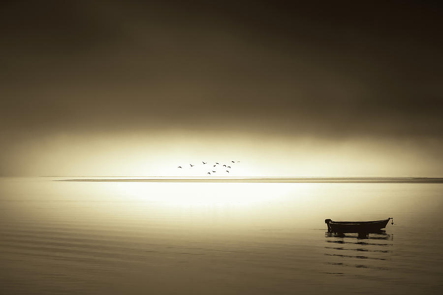 Quiet Morning, Gentle Bay Photograph by Don Schwartz