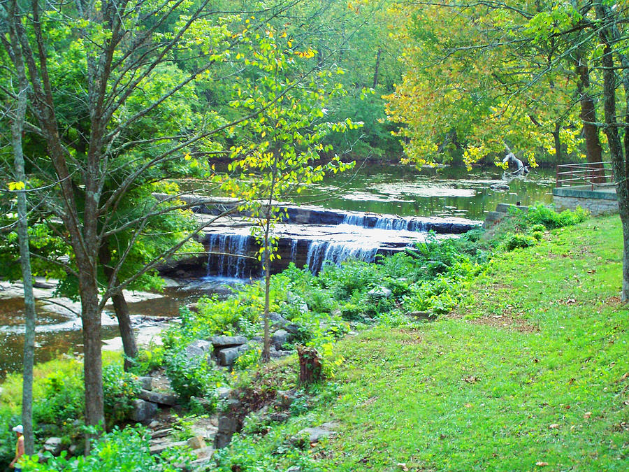 Quiet Nature Photograph by Joy Franks - Fine Art America