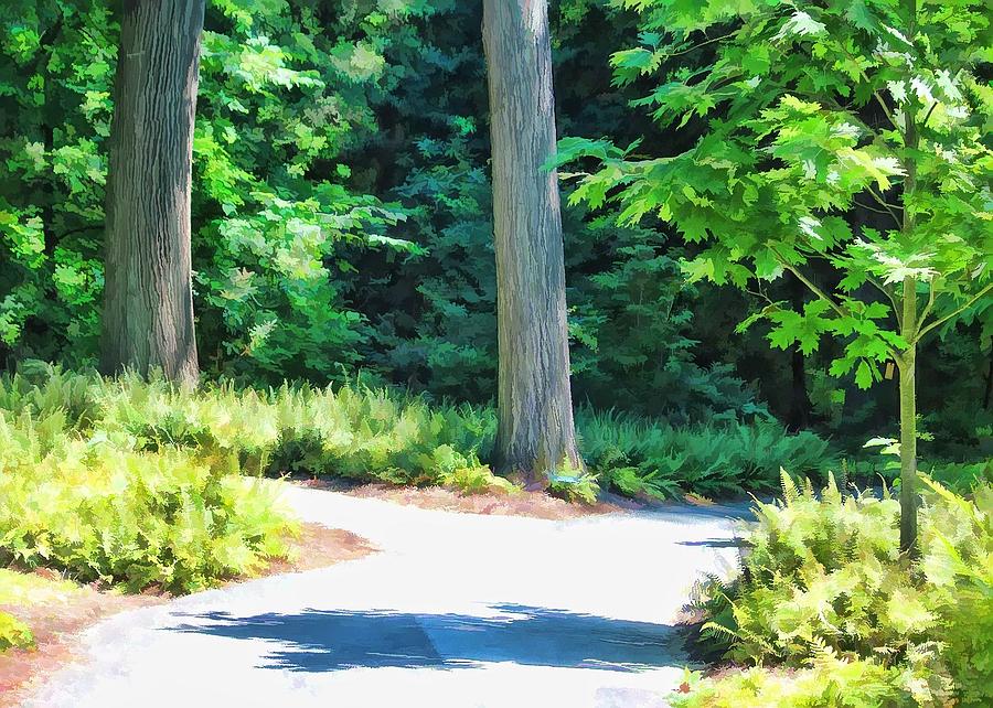 Quiet Path Photograph By Joyce Baldassarre Fine Art America 4119