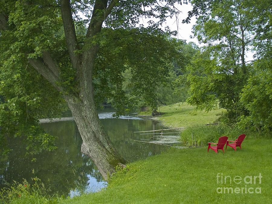 Summer Photograph - Quiet Place by Andrew Kazmierski