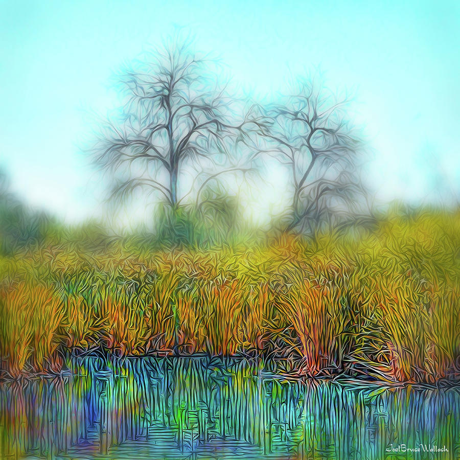 Quiet Pond Atmosphere Digital Art by Joel Bruce Wallach