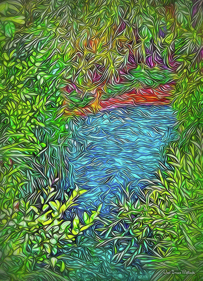Quiet Pond Interlude Digital Art by Joel Bruce Wallach