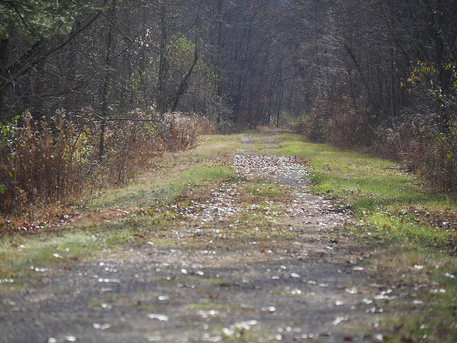 Landscape Photograph - Quiet RailTrail by Bill Helman Landscape Photograph - Quiet RailTrail by Bill Helman