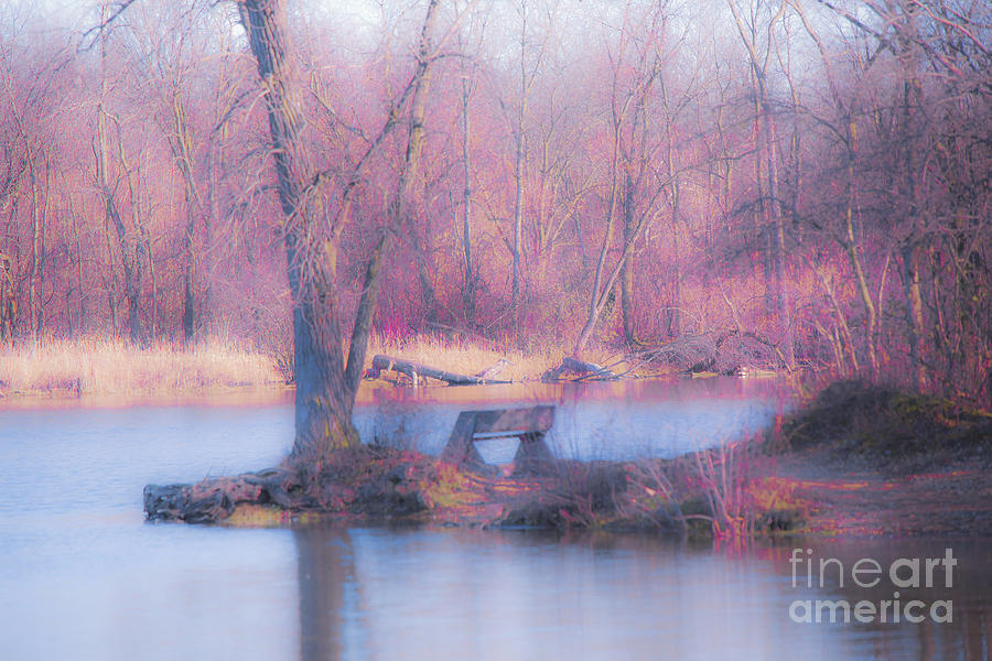 Tree Photograph - Quiet Reflections by Debbie Nobile