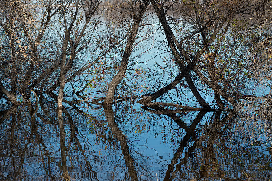 Quiet Reflections Photograph by Gary Kochel