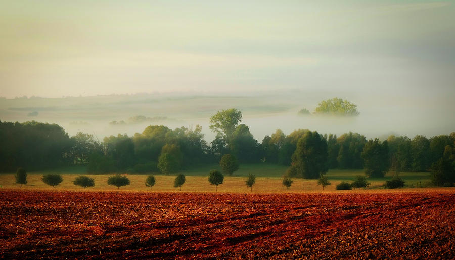 Quiet Rural Morning Photograph by Mountain Dreams