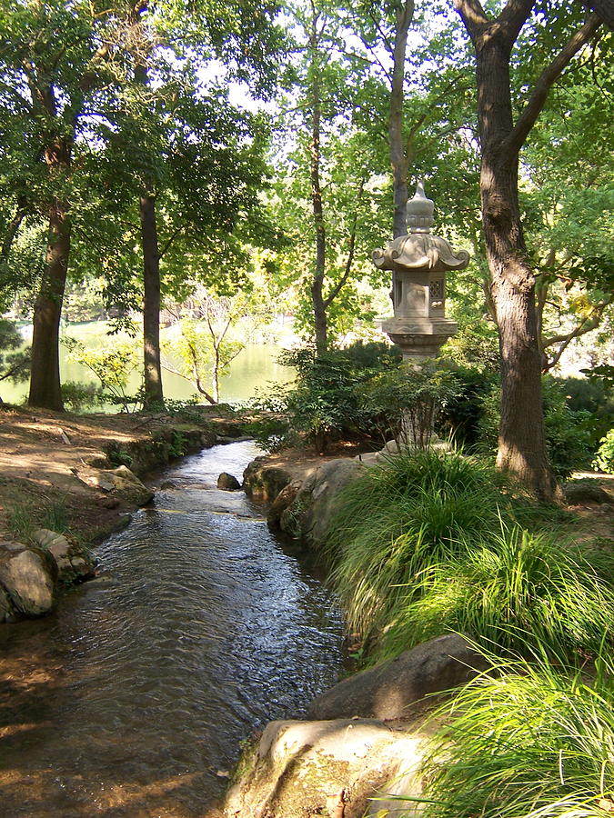 Quiet Stream Through Japanese Garden Photograph by Colleen Cornelius