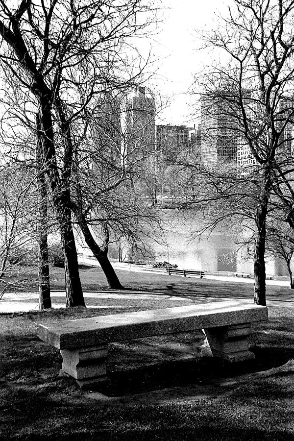 Quiet Thoughts Photograph by Carol Neal-Chicago